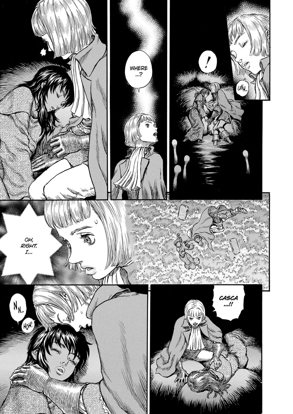 Berserk - Chapter 216 - Page 5