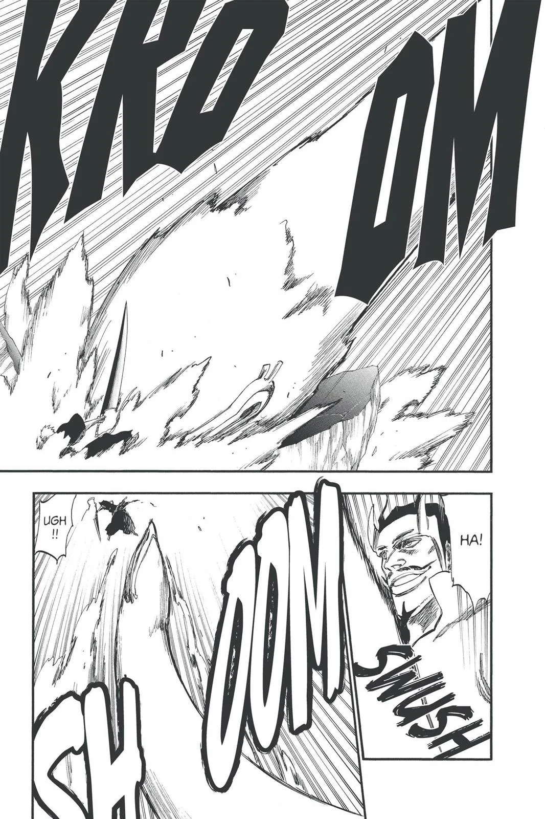 Bleach - Chapter 252 - Page 14