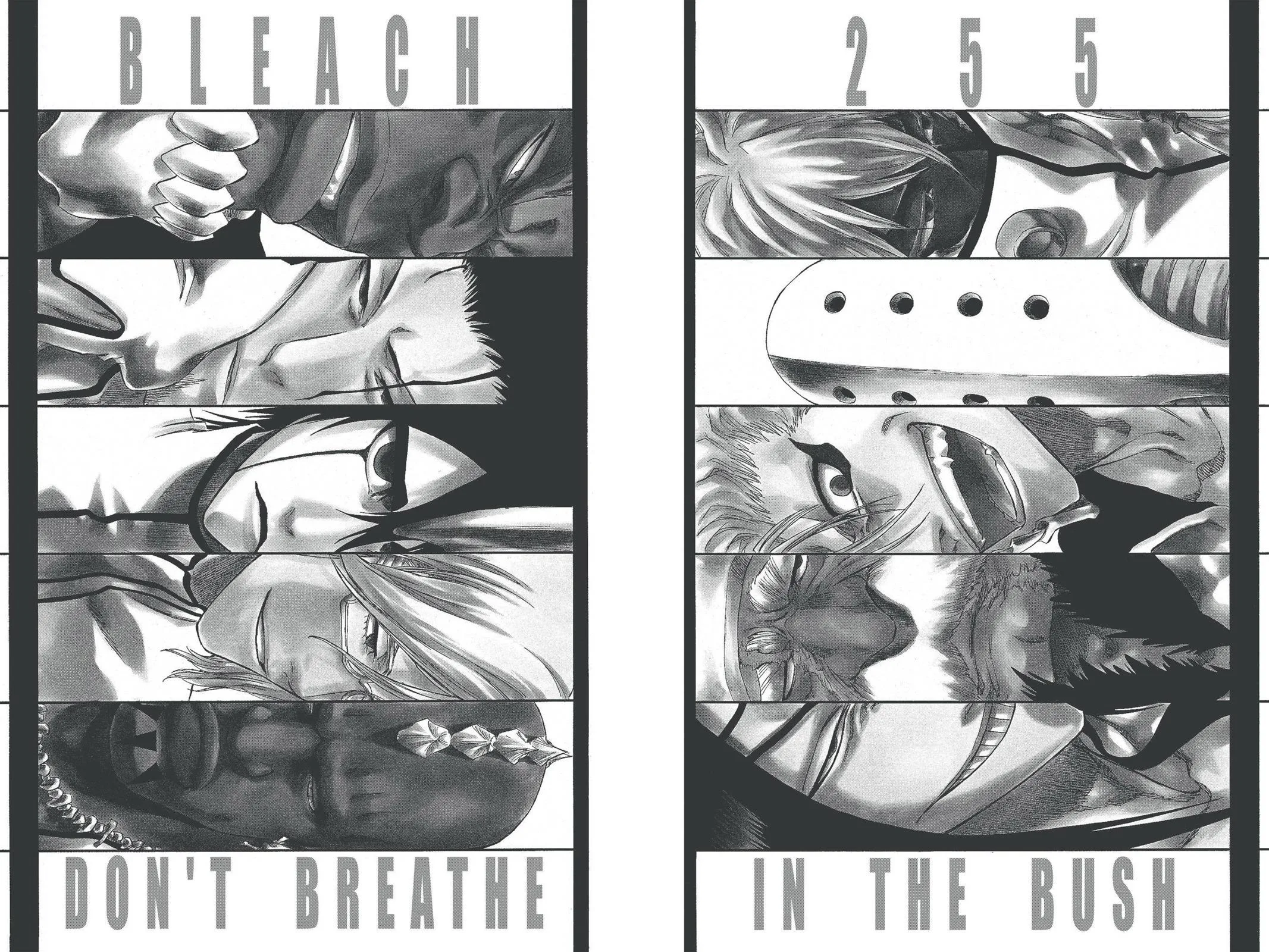 Bleach - Chapter 255 - Page 2