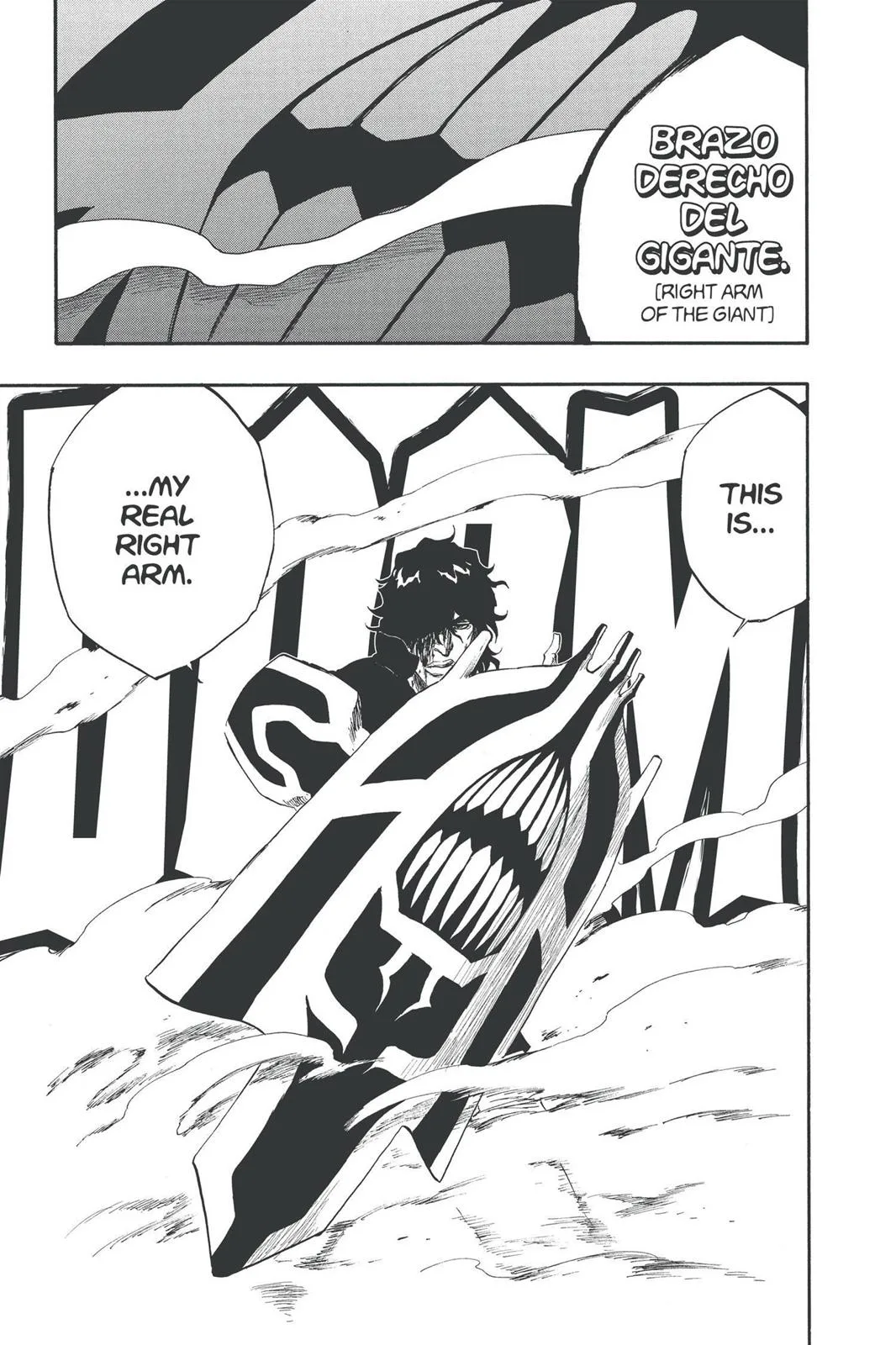 Bleach - Chapter 259 - Page 19