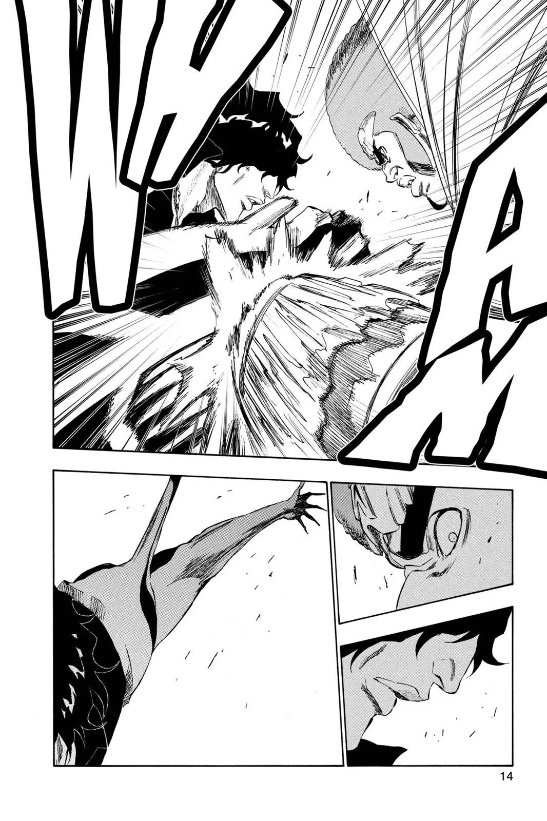 Bleach - Chapter 261 - Page 14