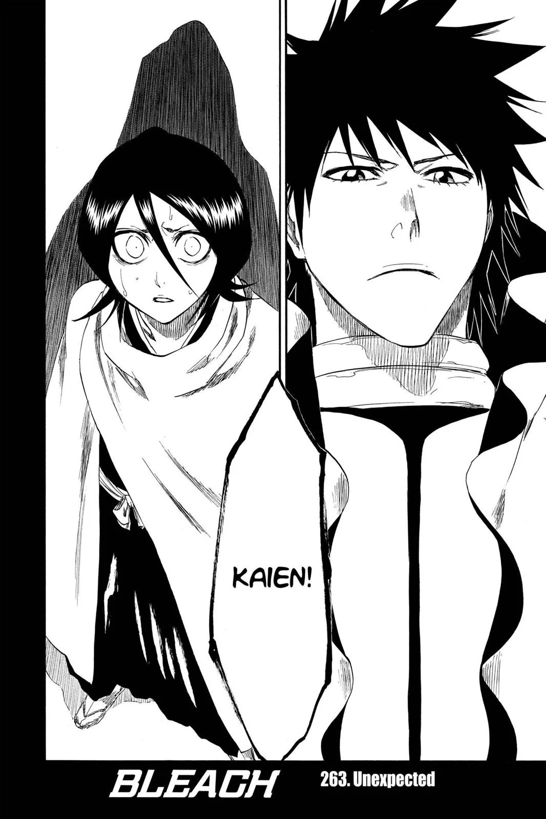 Bleach - Chapter 263 - Page 2
