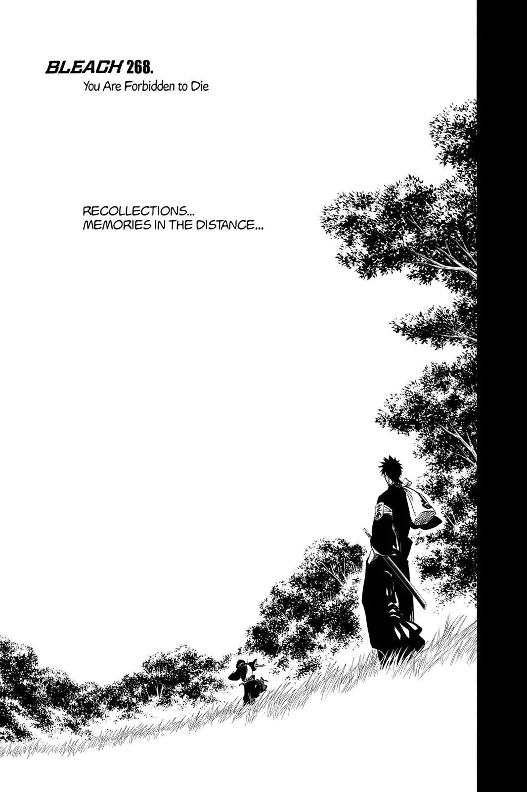 Bleach - Chapter 268 - Page 5