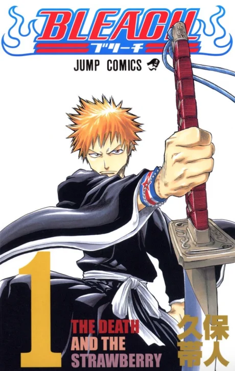 Bleach Cover 1