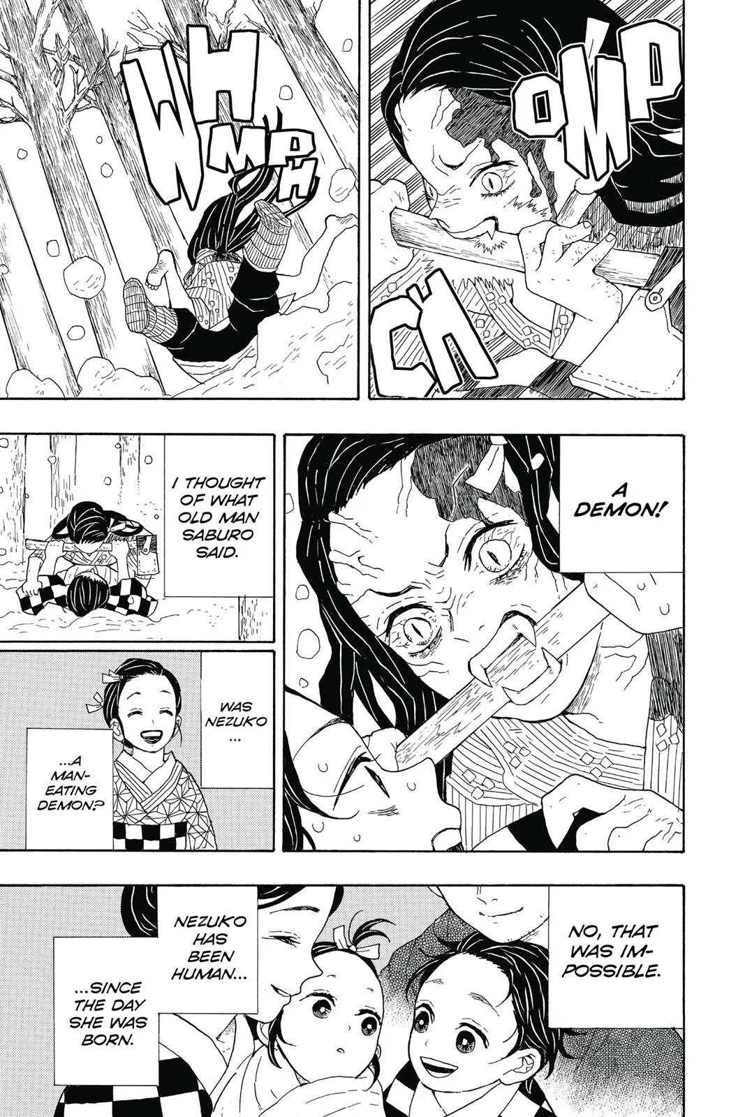 Demon Slayer: Kimetsu no Yaiba - Chapter 1 - Page 25