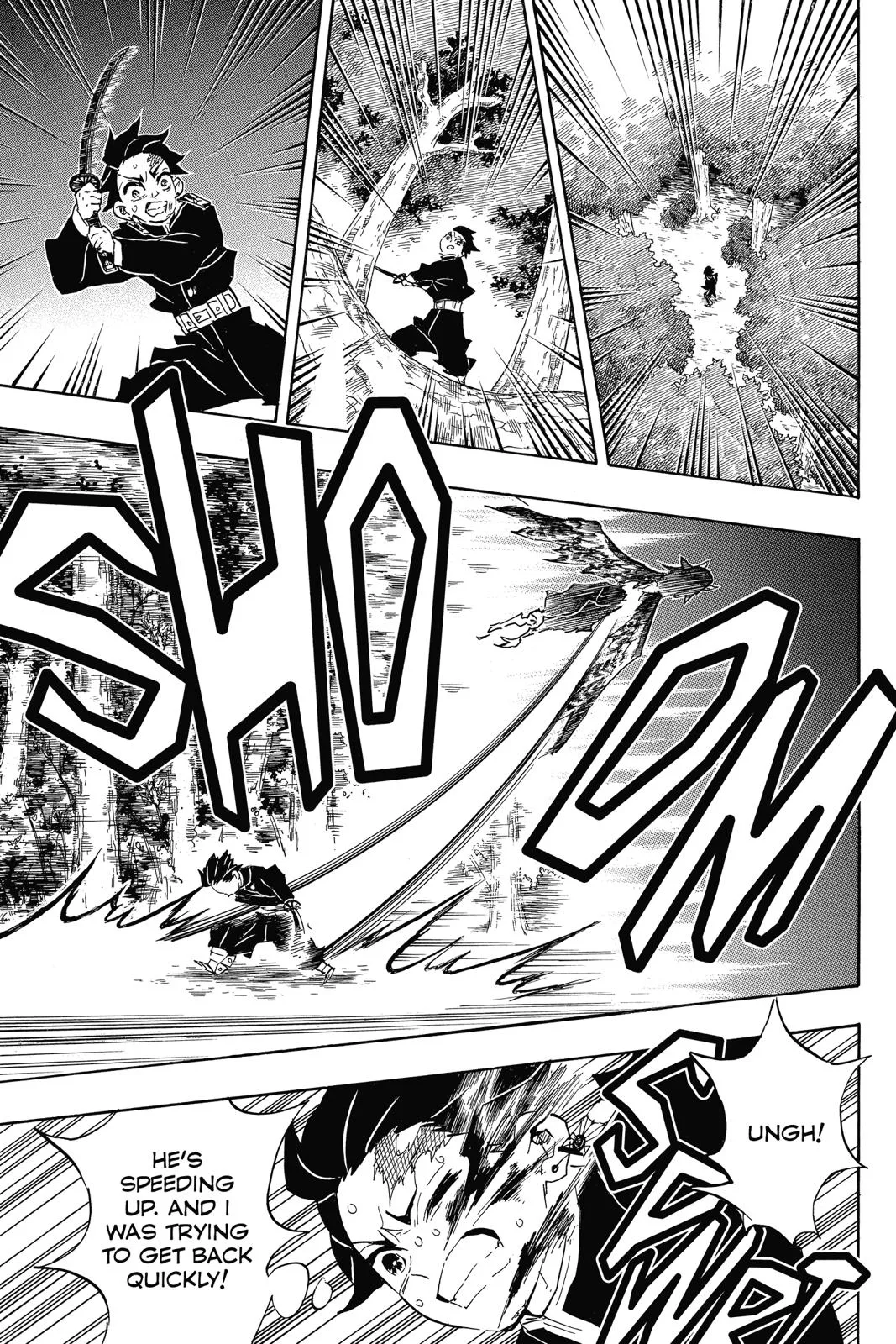 Demon Slayer: Kimetsu no Yaiba - Chapter 109 - Page 17