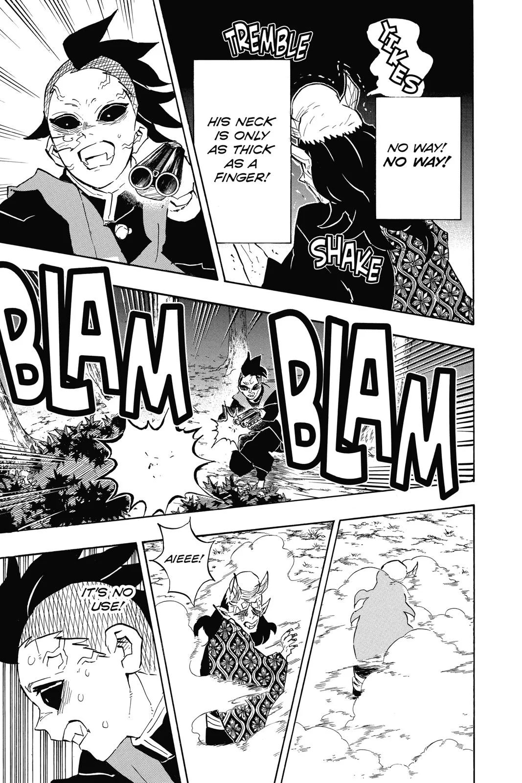 Demon Slayer: Kimetsu no Yaiba - Chapter 114 - Page 17
