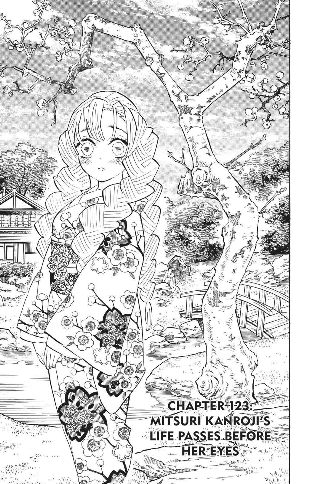 Demon Slayer: Kimetsu no Yaiba - Chapter 123 - Page 1