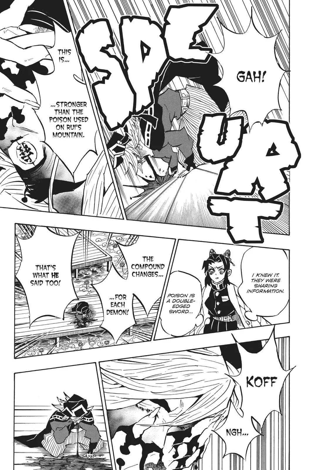 Demon Slayer: Kimetsu no Yaiba - Chapter 141 - Page 17