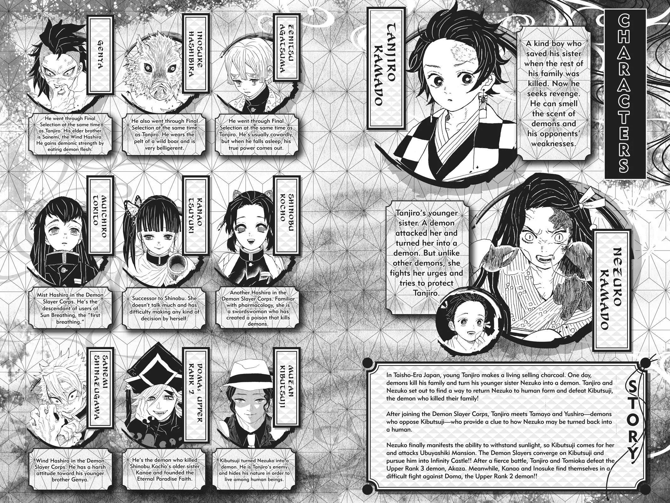 Demon Slayer: Kimetsu no Yaiba - Chapter 161 - Page 5