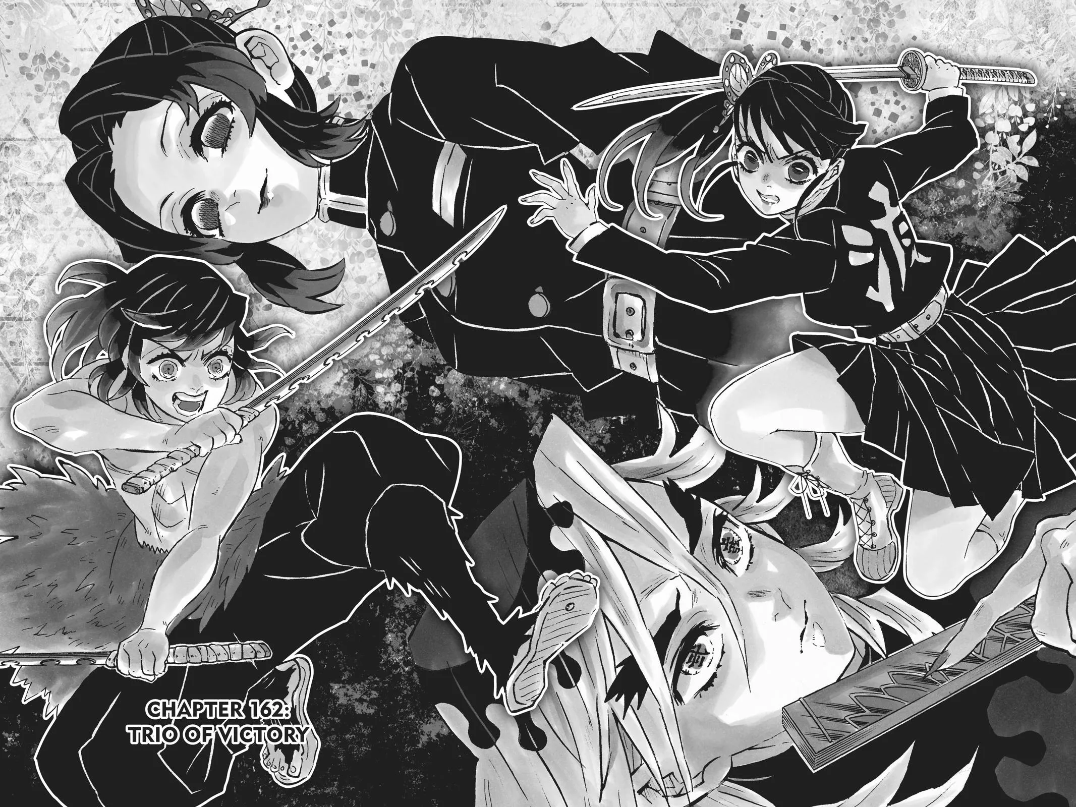 Demon Slayer: Kimetsu no Yaiba - Chapter 162 - Page 2