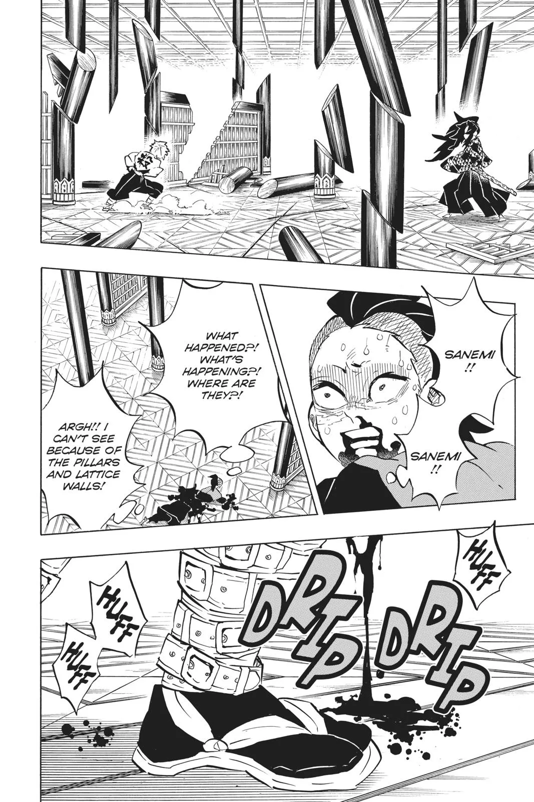 Demon Slayer: Kimetsu no Yaiba - Chapter 167 - Page 15