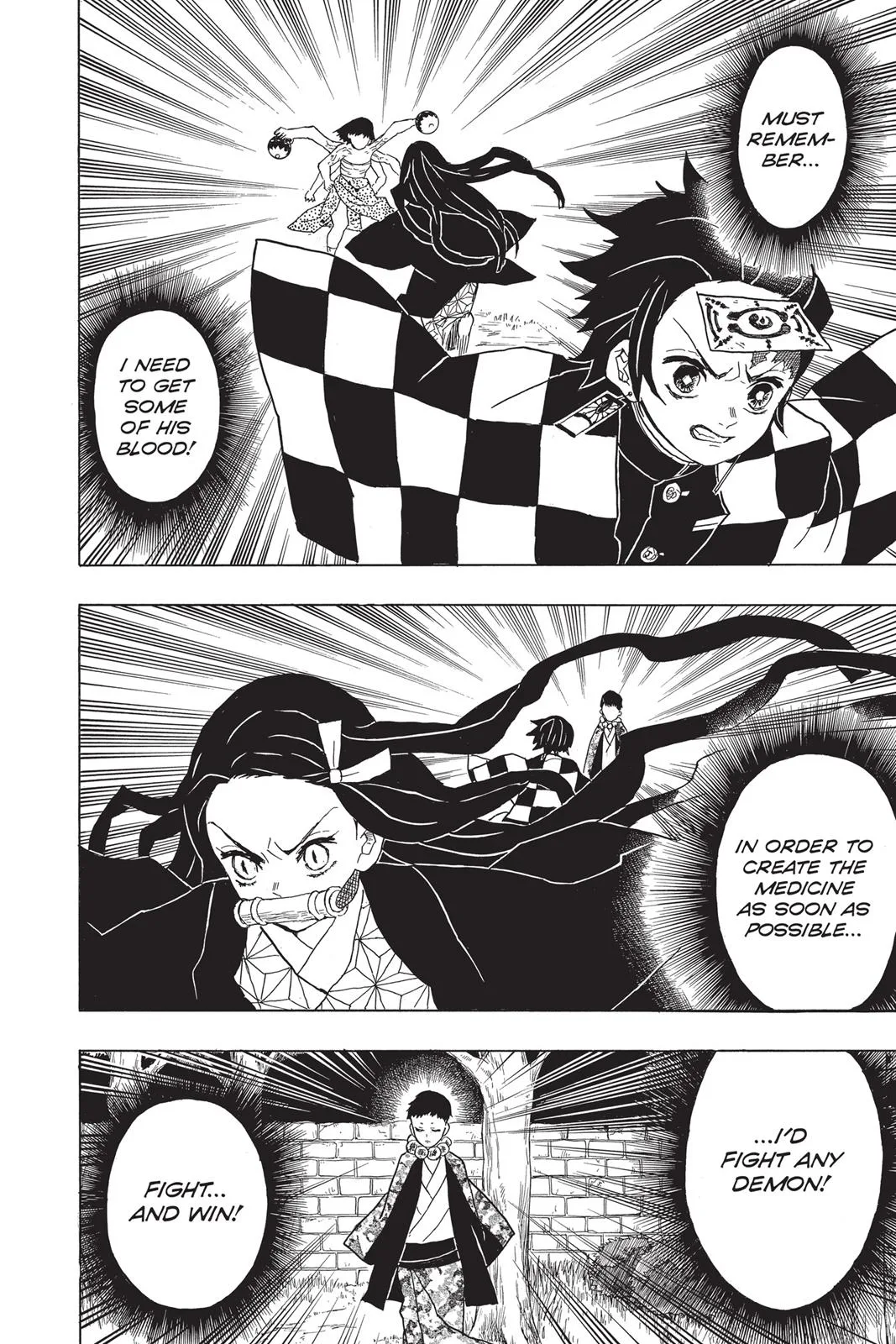 Demon Slayer: Kimetsu no Yaiba - Chapter 17 - Page 12