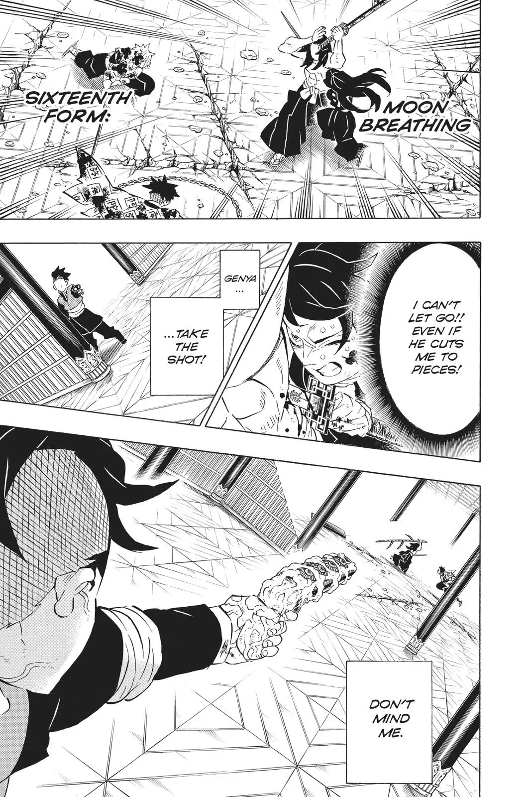 Demon Slayer: Kimetsu no Yaiba - Chapter 173 - Page 17