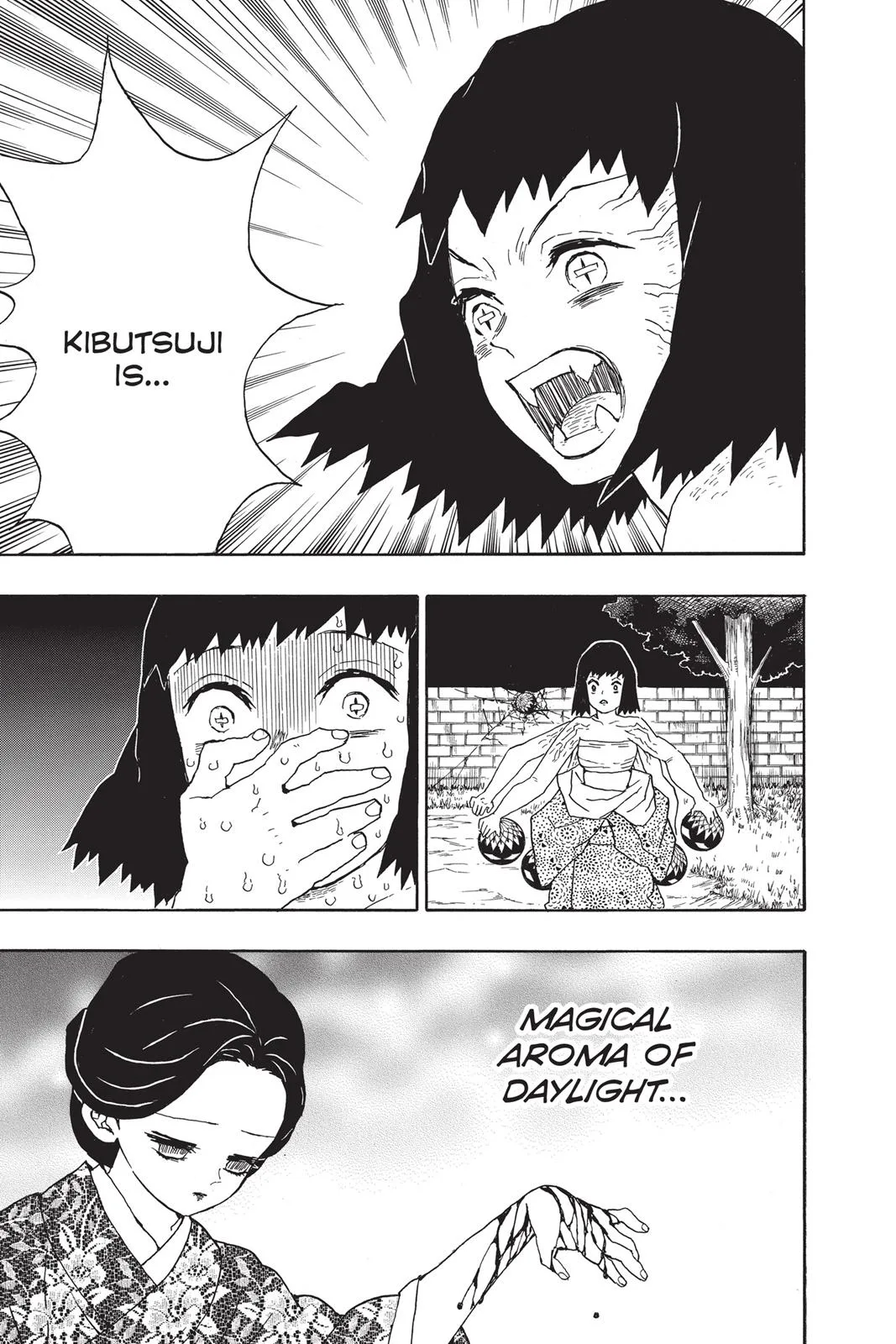 Demon Slayer: Kimetsu no Yaiba - Chapter 18 - Page 17