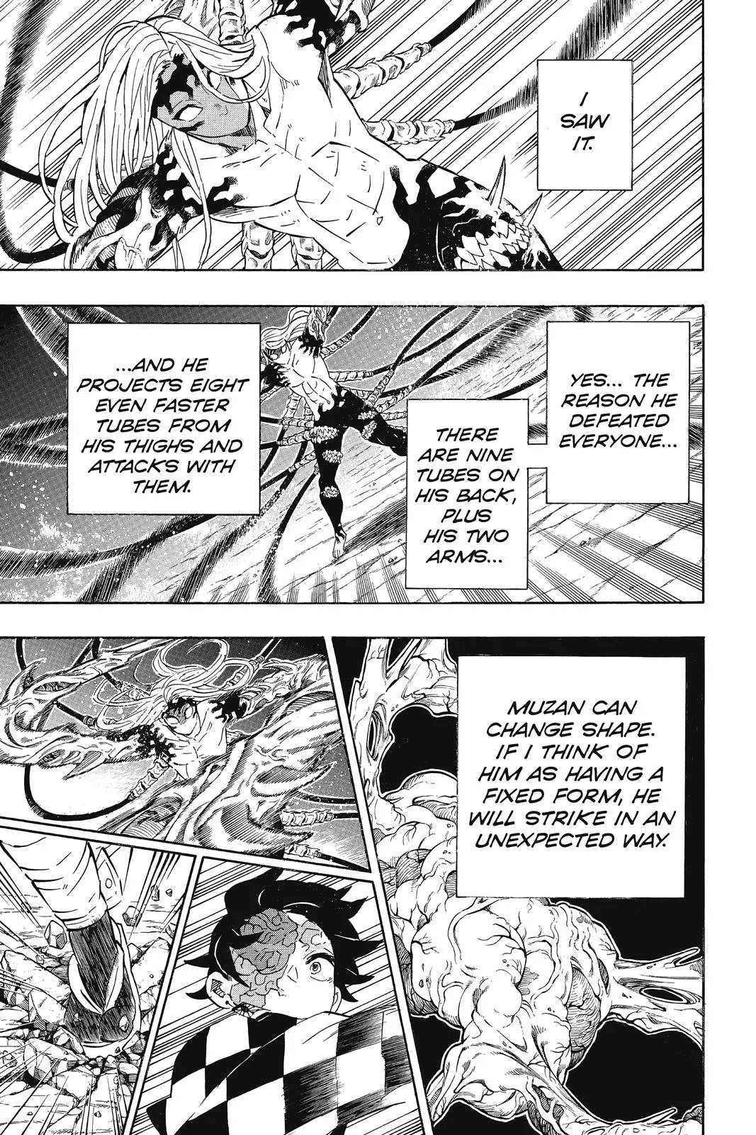 Demon Slayer: Kimetsu no Yaiba - Chapter 192 - Page 17