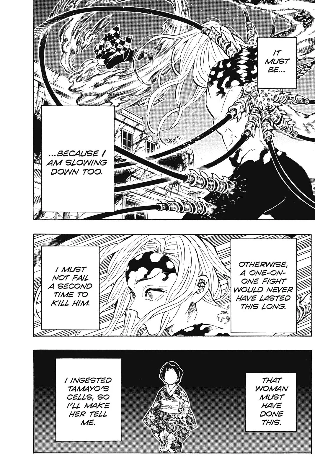 Demon Slayer: Kimetsu no Yaiba - Chapter 193 - Page 13