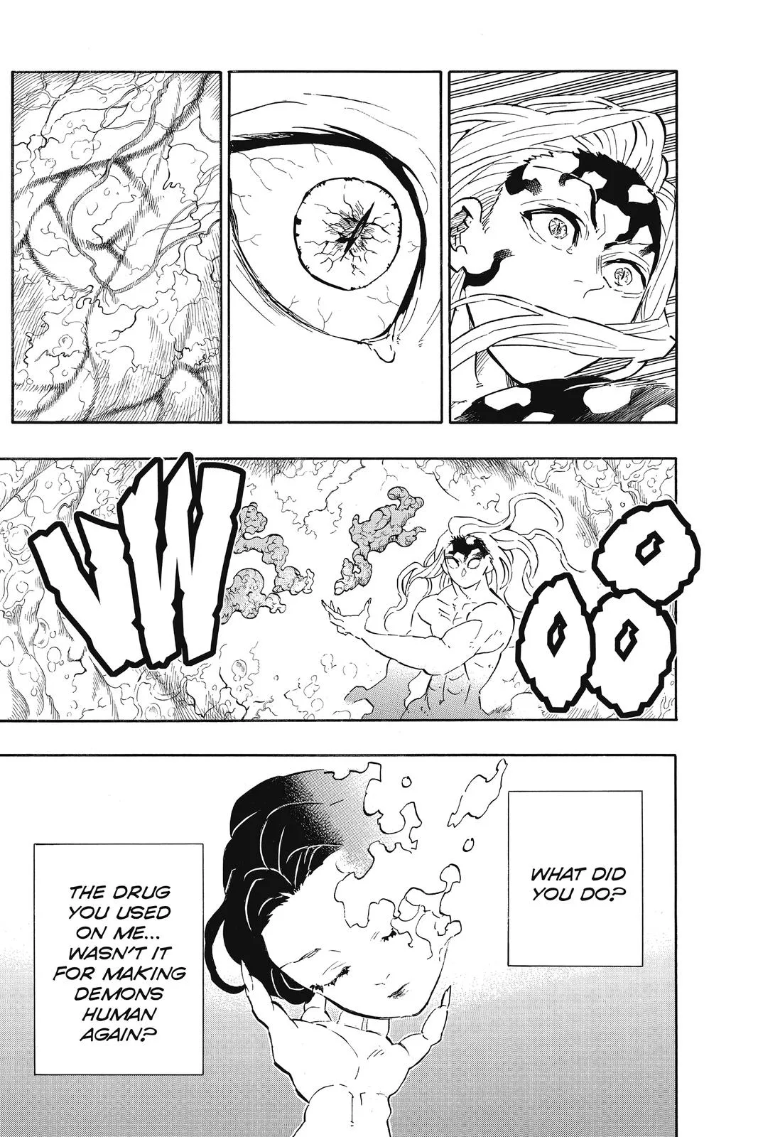 Demon Slayer: Kimetsu no Yaiba - Chapter 193 - Page 14