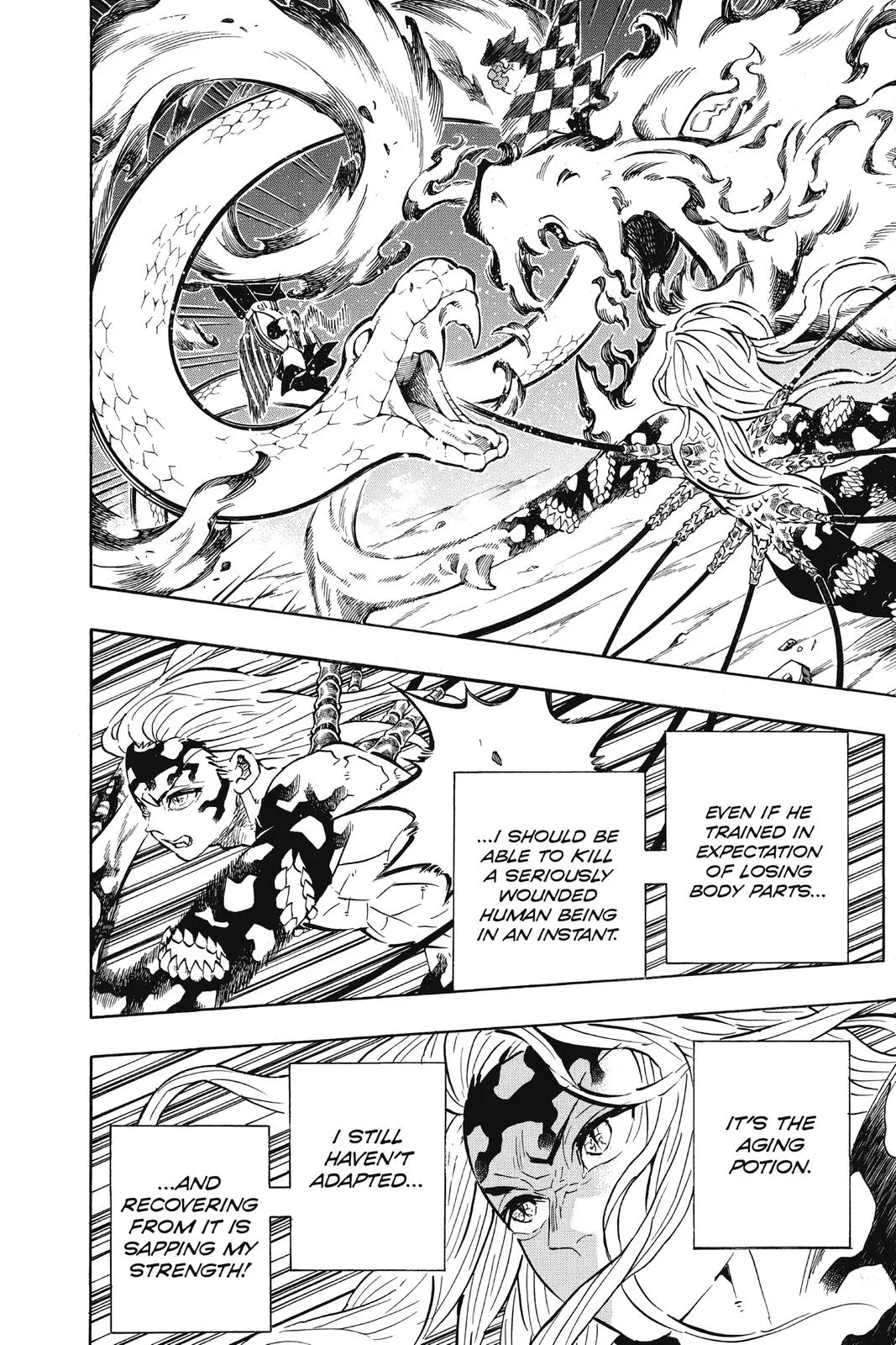 Demon Slayer: Kimetsu no Yaiba - Chapter 194 - Page 16