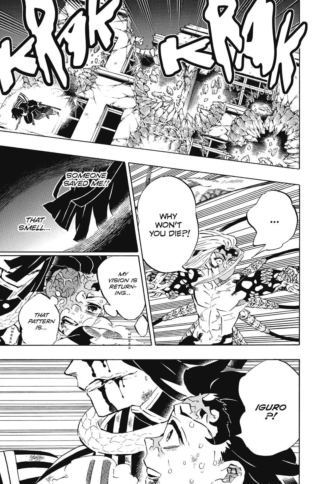 Demon Slayer: Kimetsu no Yaiba - Chapter 194 - Page 9