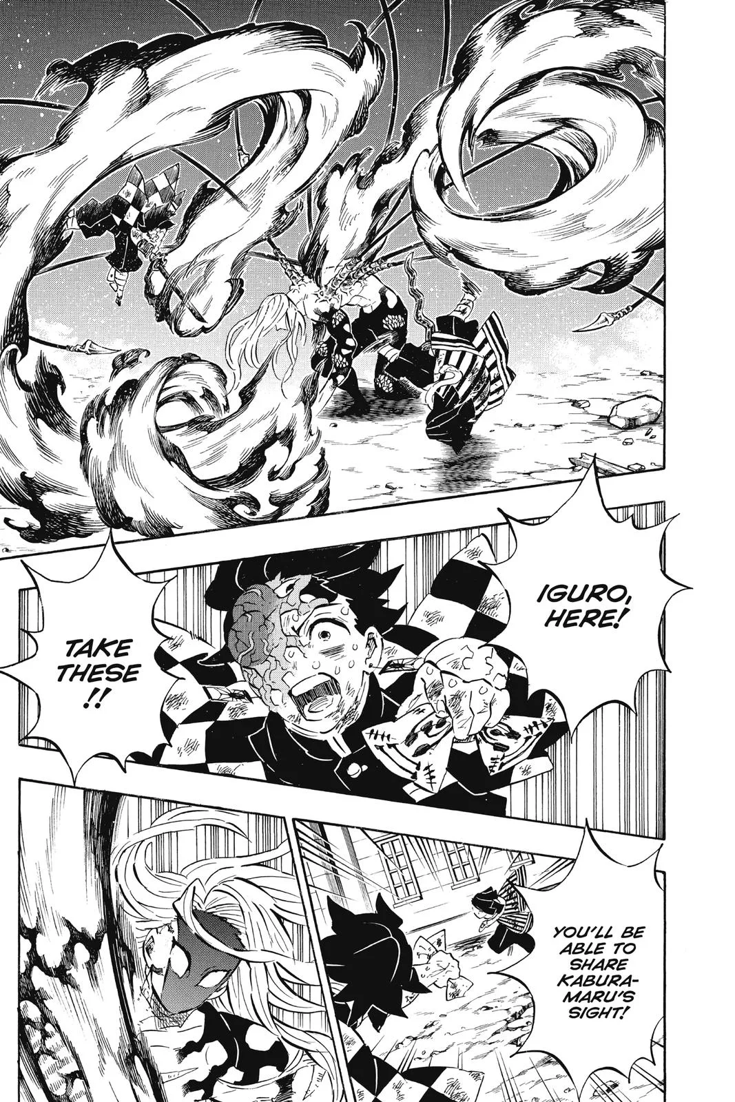 Demon Slayer: Kimetsu no Yaiba - Chapter 195 - Page 13