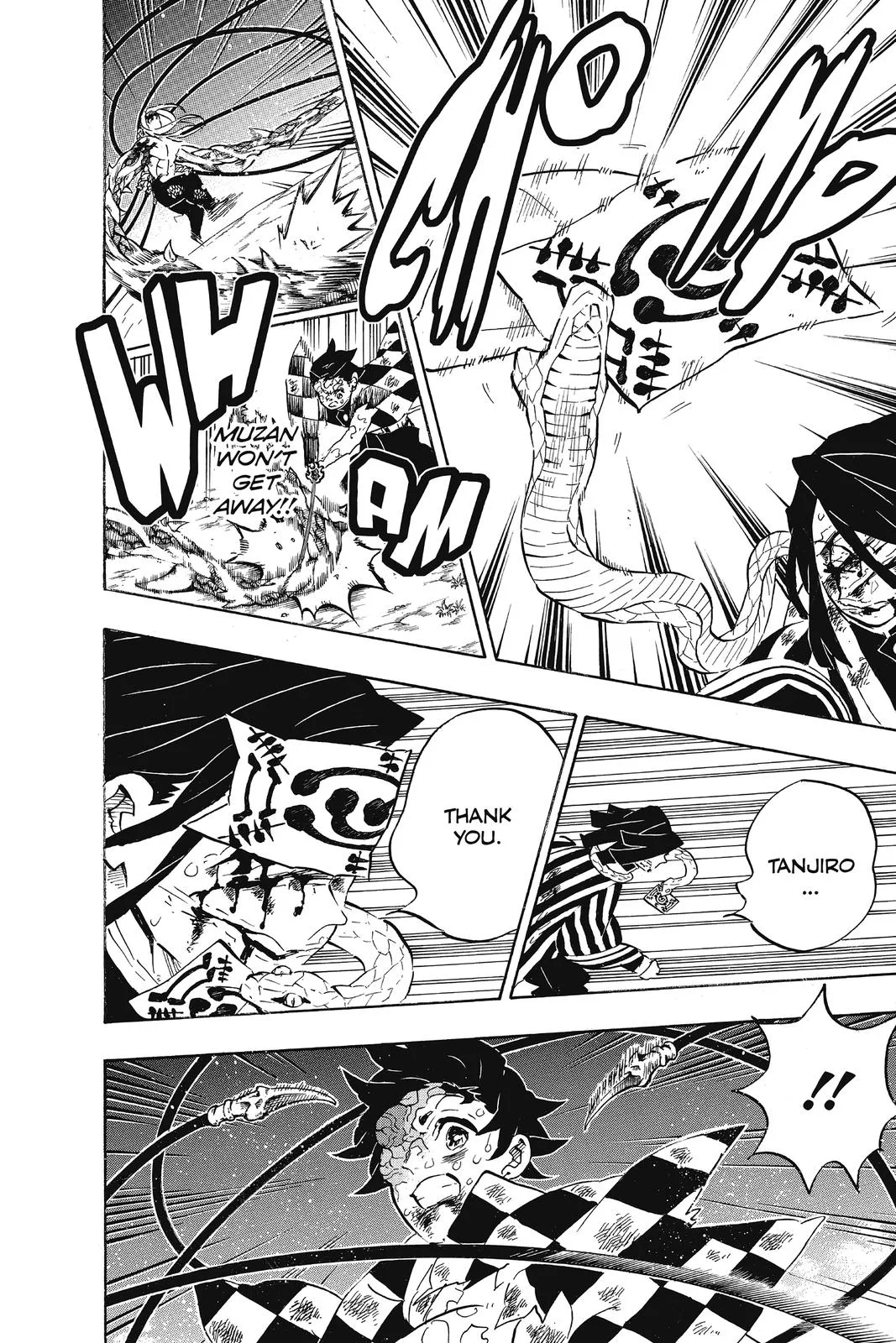 Demon Slayer: Kimetsu no Yaiba - Chapter 195 - Page 16
