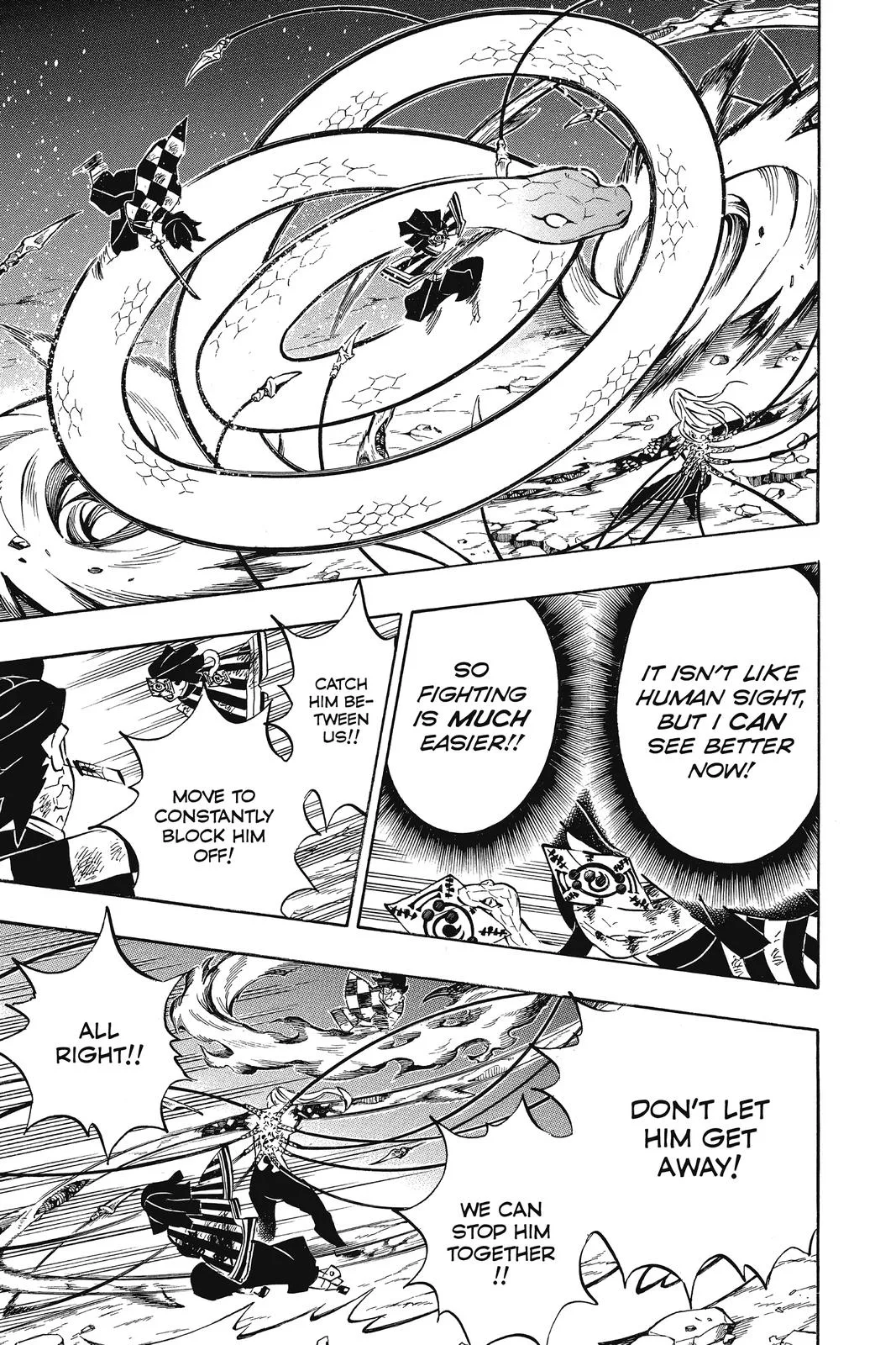 Demon Slayer: Kimetsu no Yaiba - Chapter 195 - Page 17