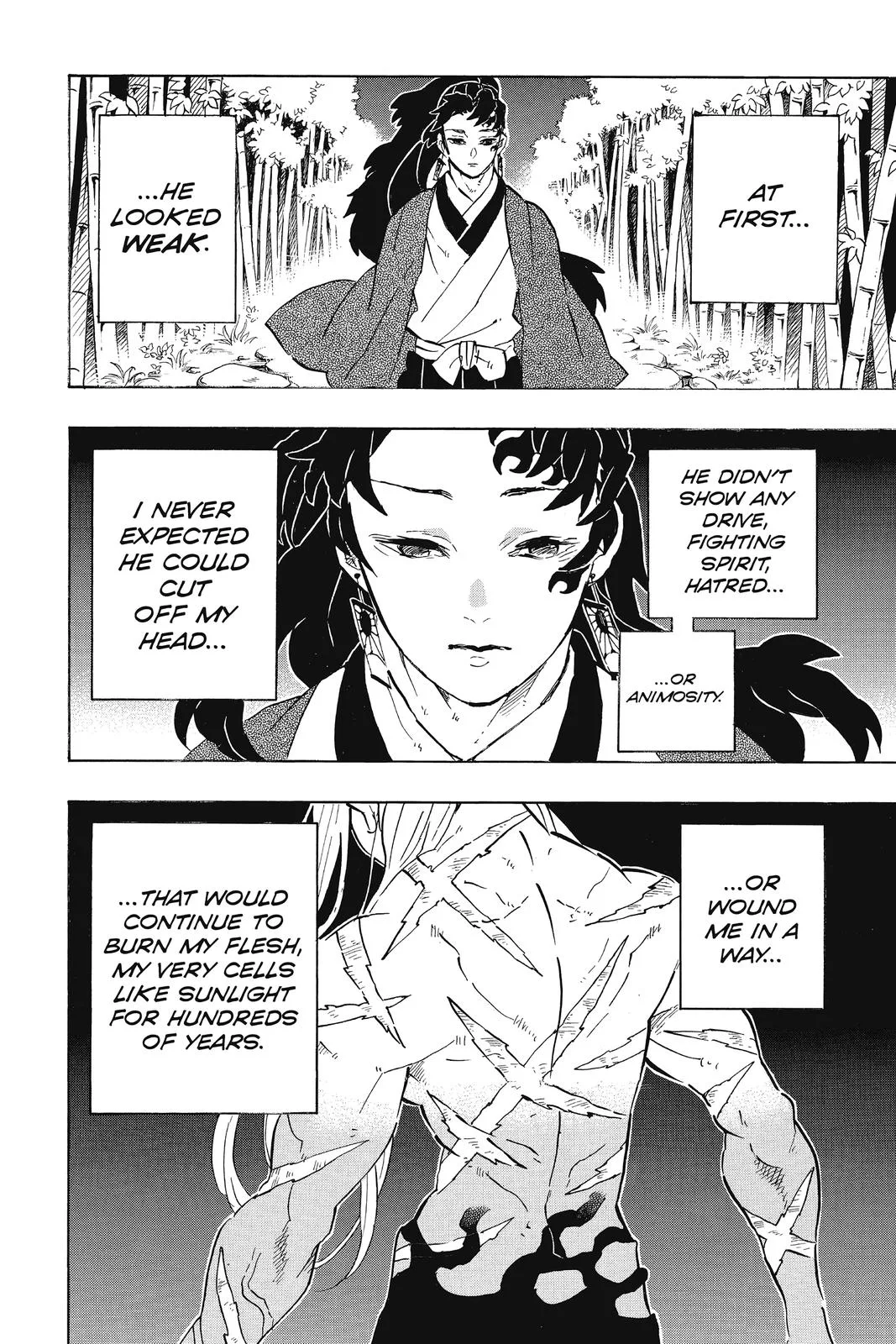 Demon Slayer: Kimetsu no Yaiba - Chapter 195 - Page 2