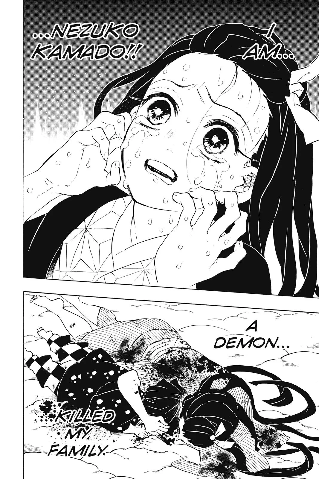 Demon Slayer: Kimetsu no Yaiba - Chapter 196 - Page 12