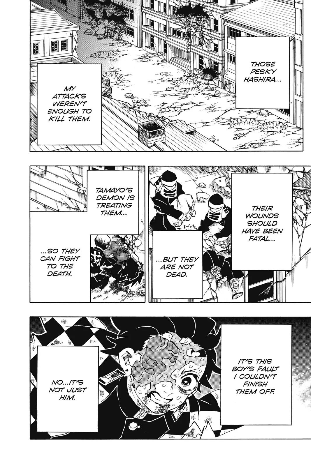 Demon Slayer: Kimetsu no Yaiba - Chapter 196 - Page 14