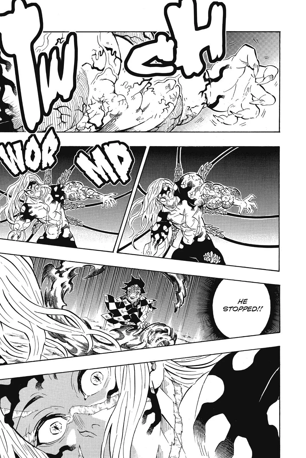 Demon Slayer: Kimetsu no Yaiba - Chapter 196 - Page 17