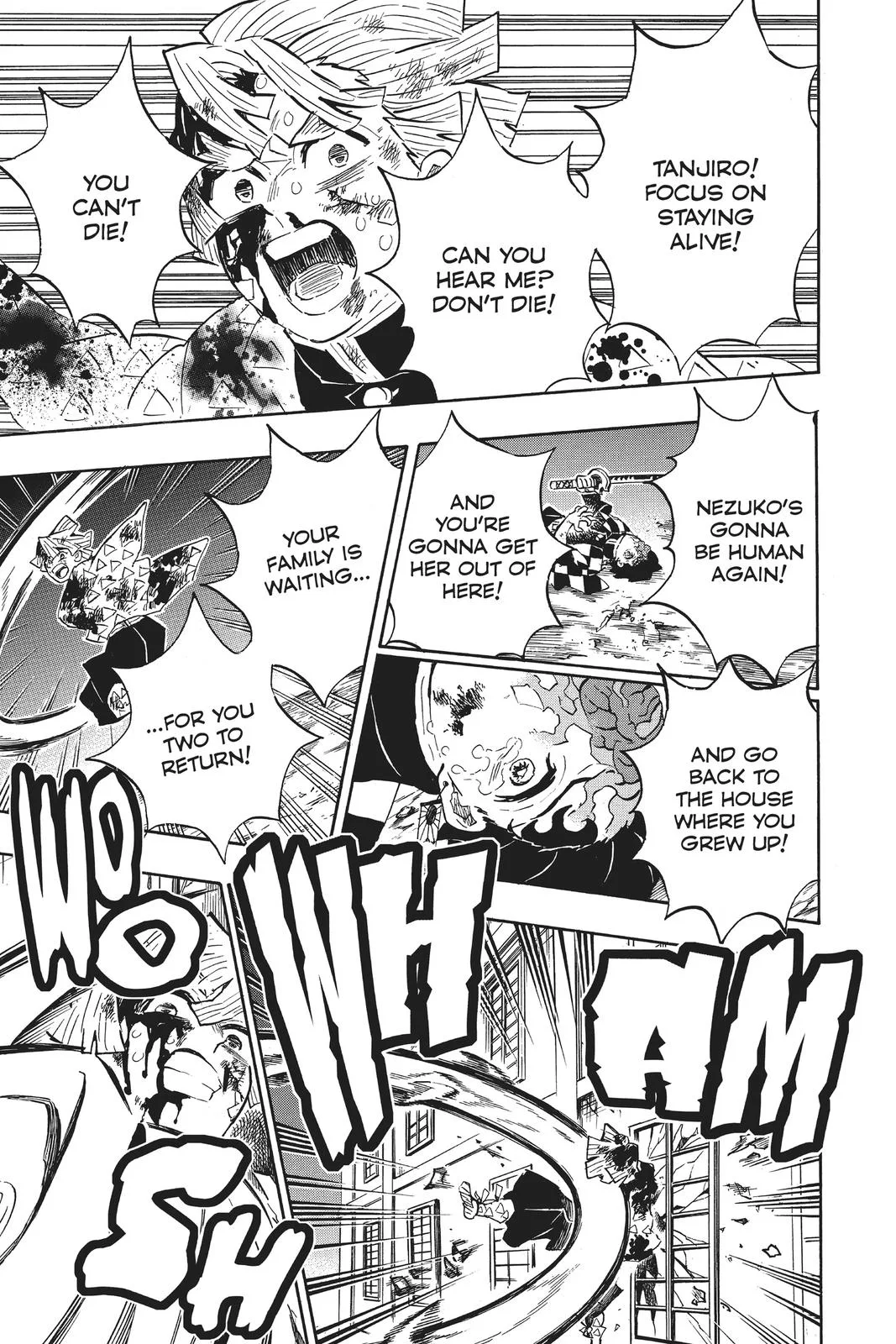 Demon Slayer: Kimetsu no Yaiba - Chapter 197 - Page 20