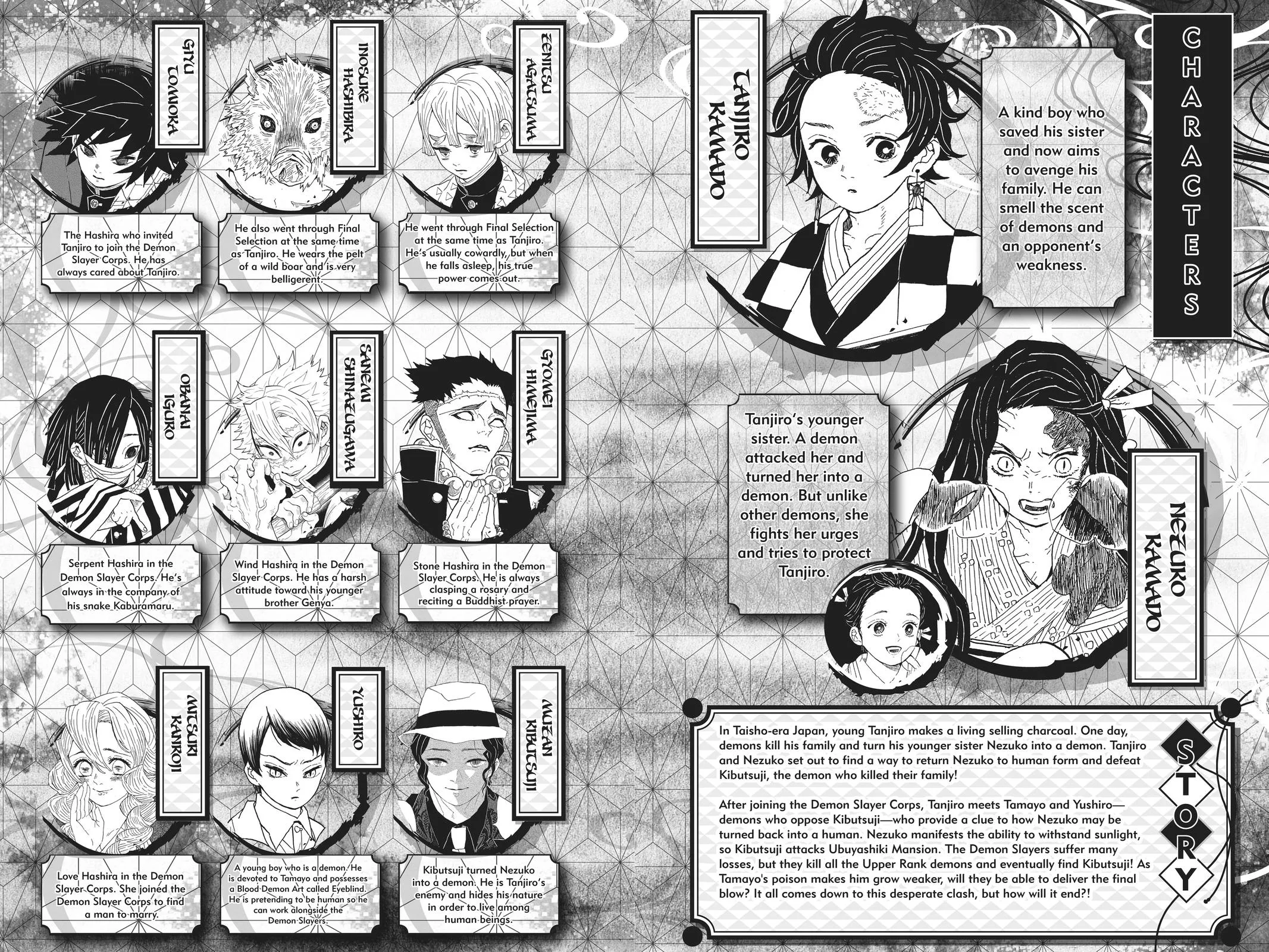 Demon Slayer: Kimetsu no Yaiba - Chapter 197 - Page 5