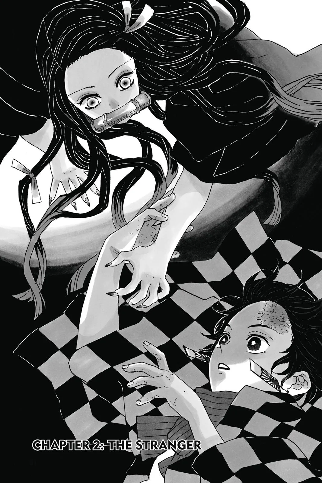 Demon Slayer: Kimetsu no Yaiba - Chapter 2 - Page 1