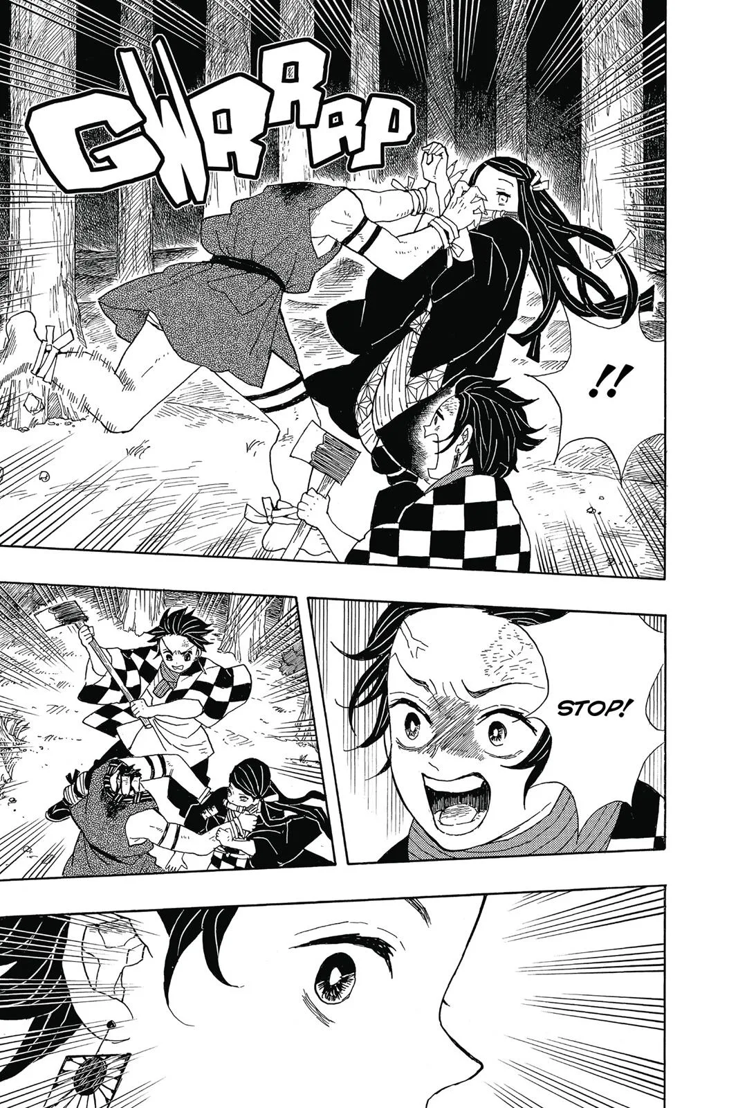 Demon Slayer: Kimetsu no Yaiba - Chapter 2 - Page 17