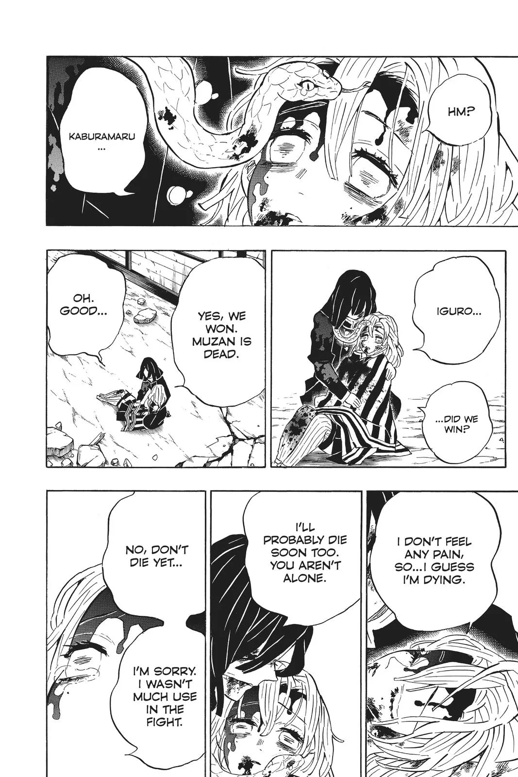 Demon Slayer: Kimetsu no Yaiba - Chapter 200 - Page 11