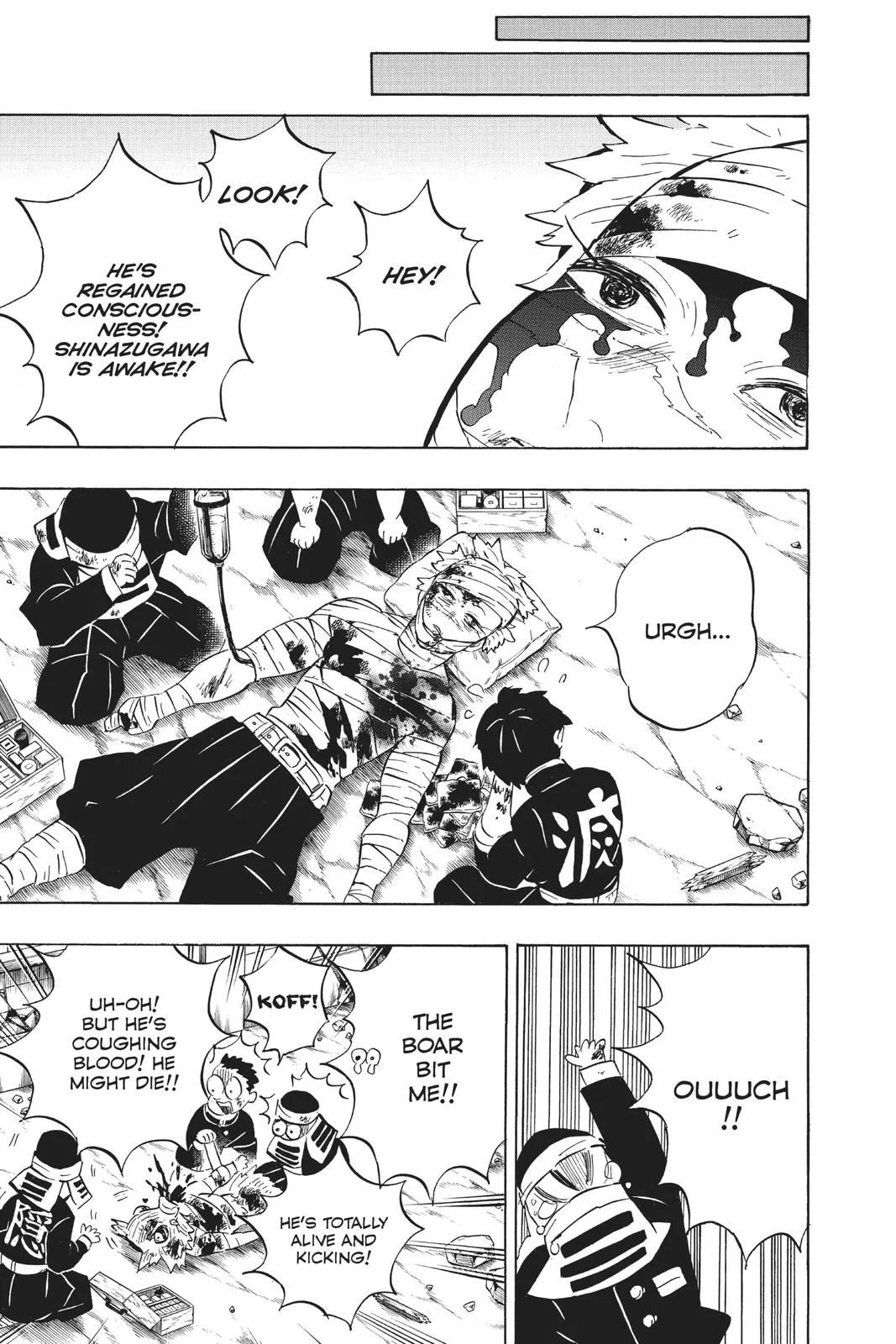 Demon Slayer: Kimetsu no Yaiba - Chapter 200 - Page 18