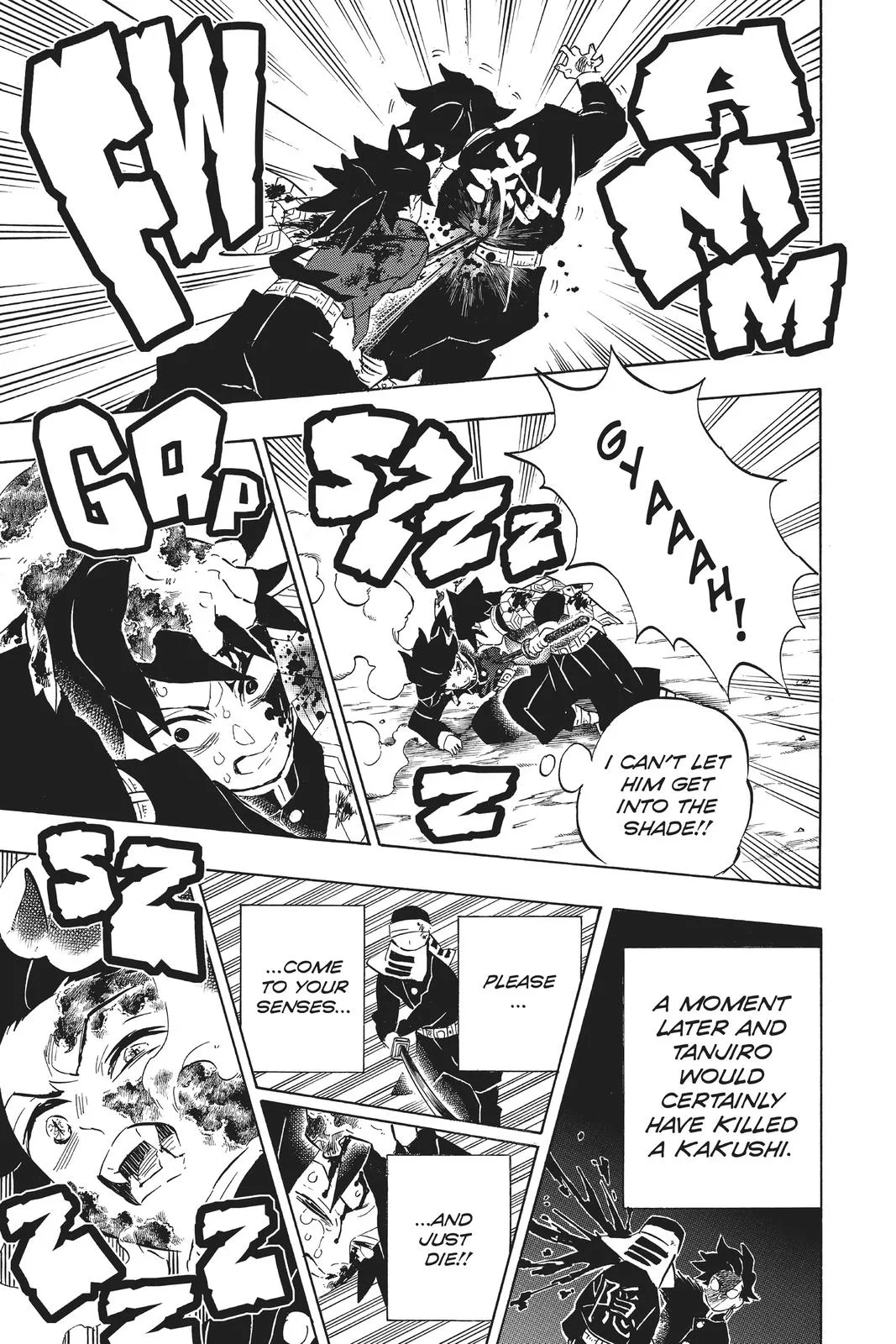 Demon Slayer: Kimetsu no Yaiba - Chapter 201 - Page 13