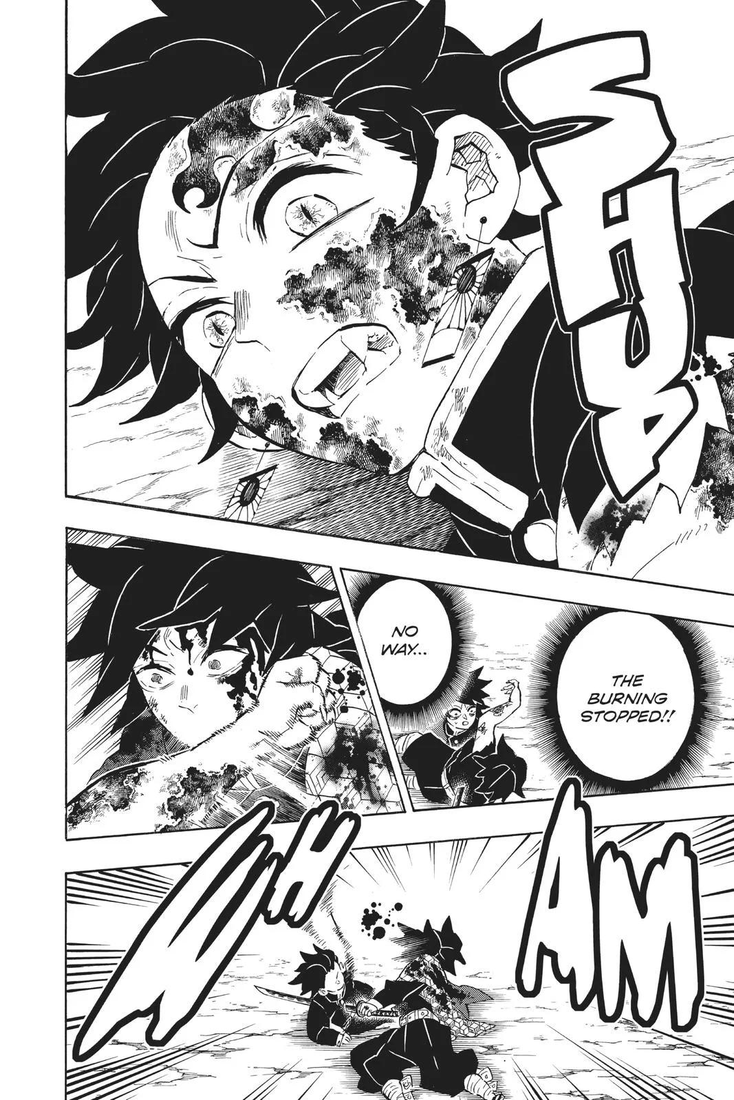 Demon Slayer: Kimetsu no Yaiba - Chapter 201 - Page 14