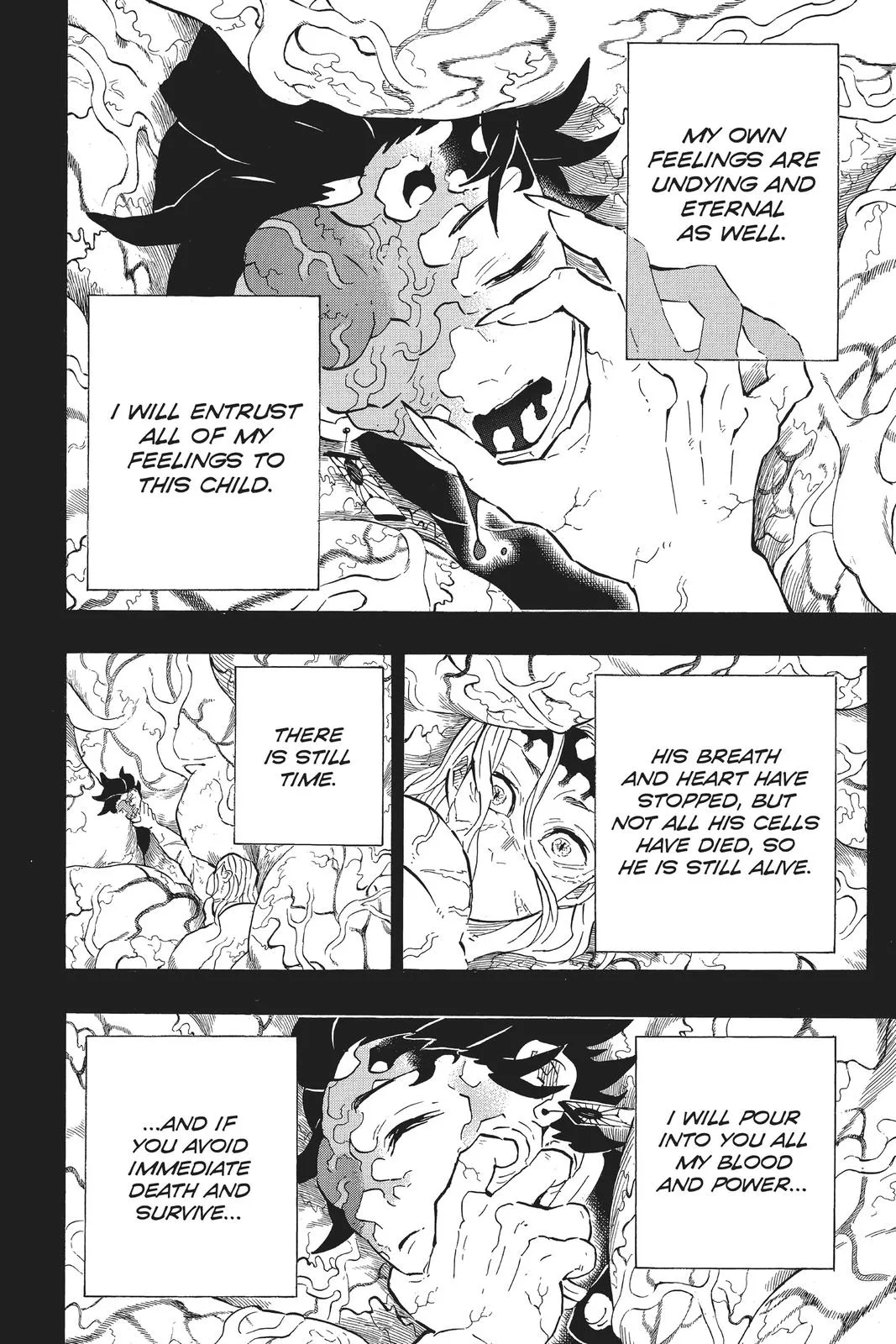 Demon Slayer: Kimetsu no Yaiba - Chapter 201 - Page 4