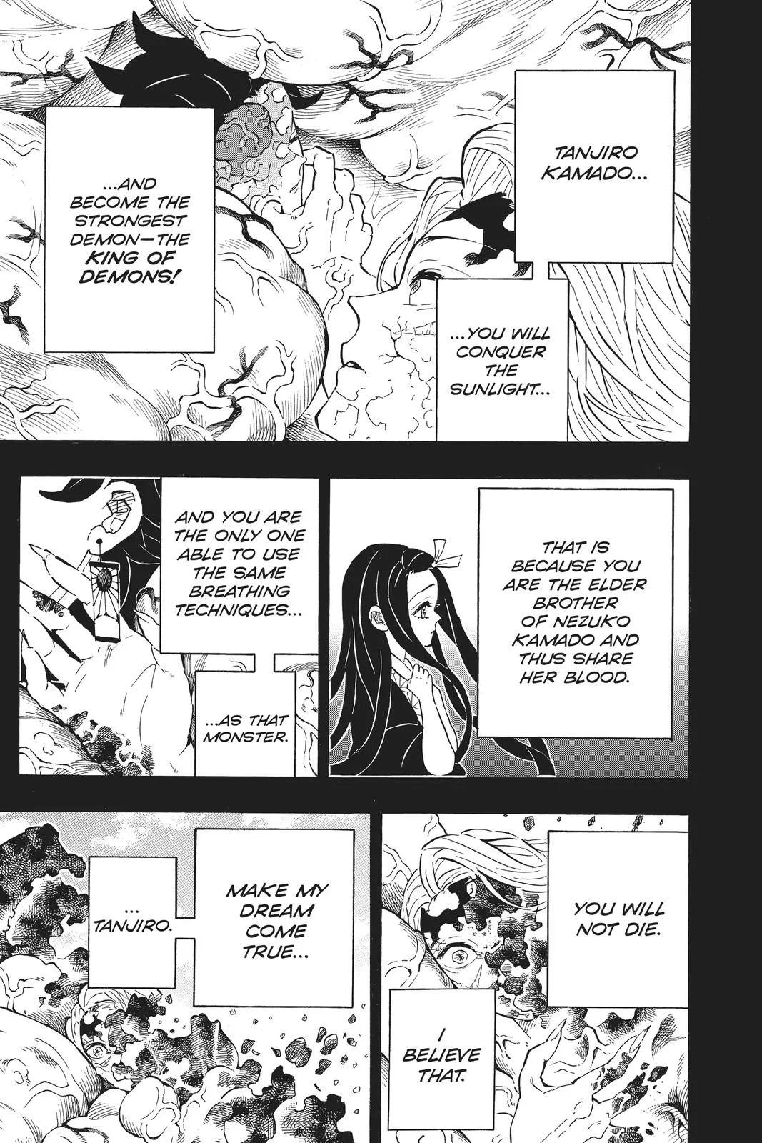 Demon Slayer: Kimetsu no Yaiba - Chapter 201 - Page 5