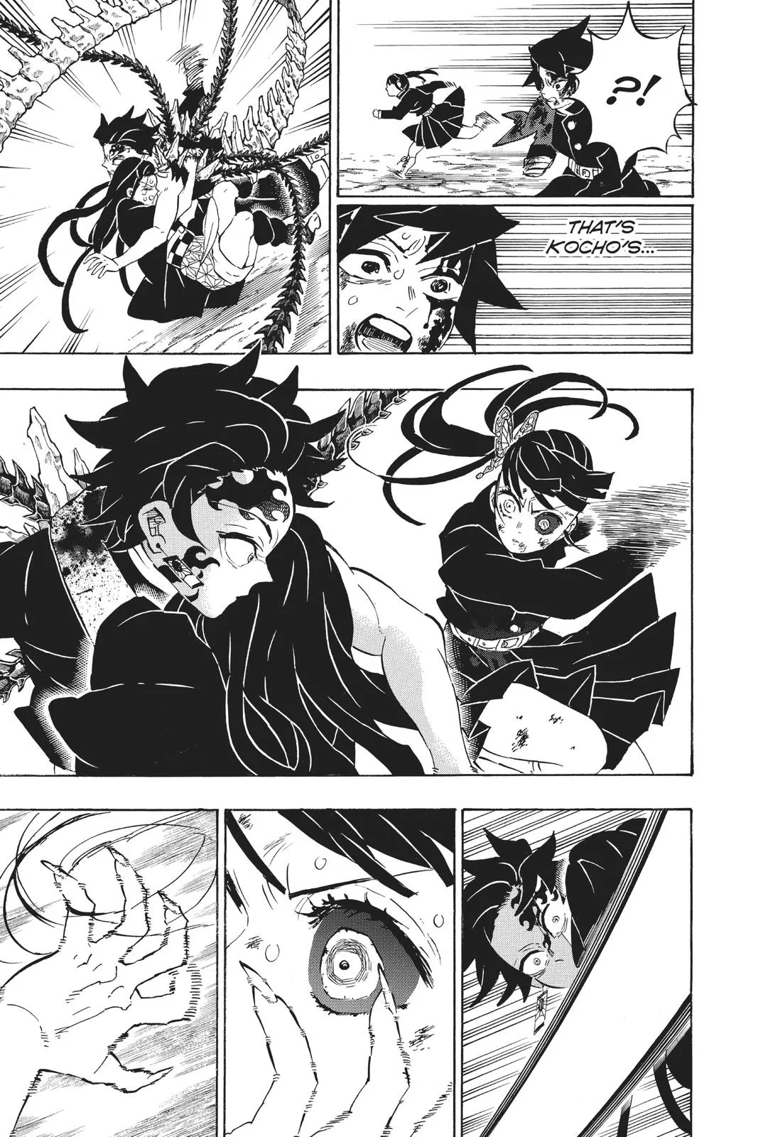 Demon Slayer: Kimetsu no Yaiba - Chapter 202 - Page 17