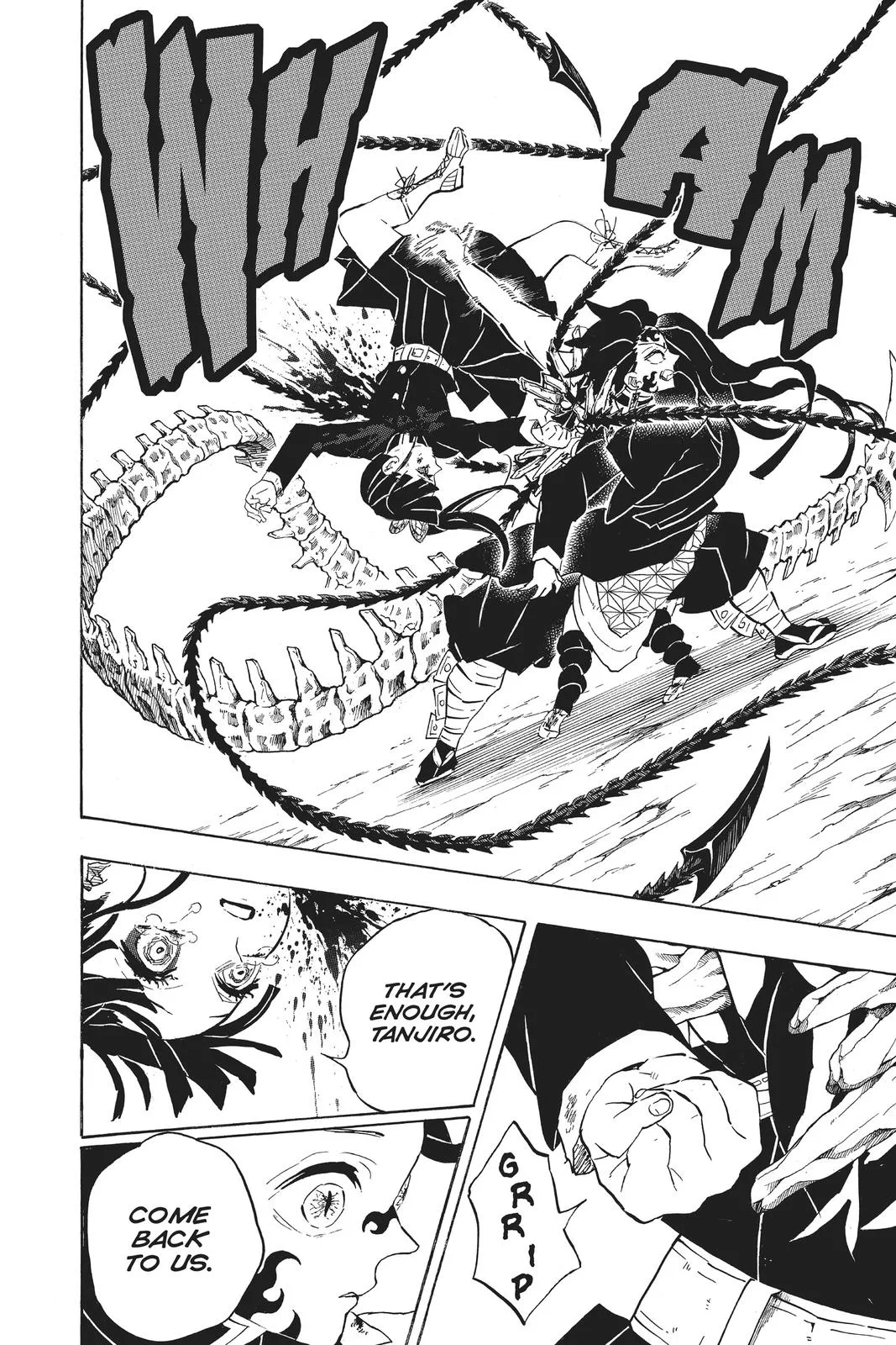 Demon Slayer: Kimetsu no Yaiba - Chapter 202 - Page 18