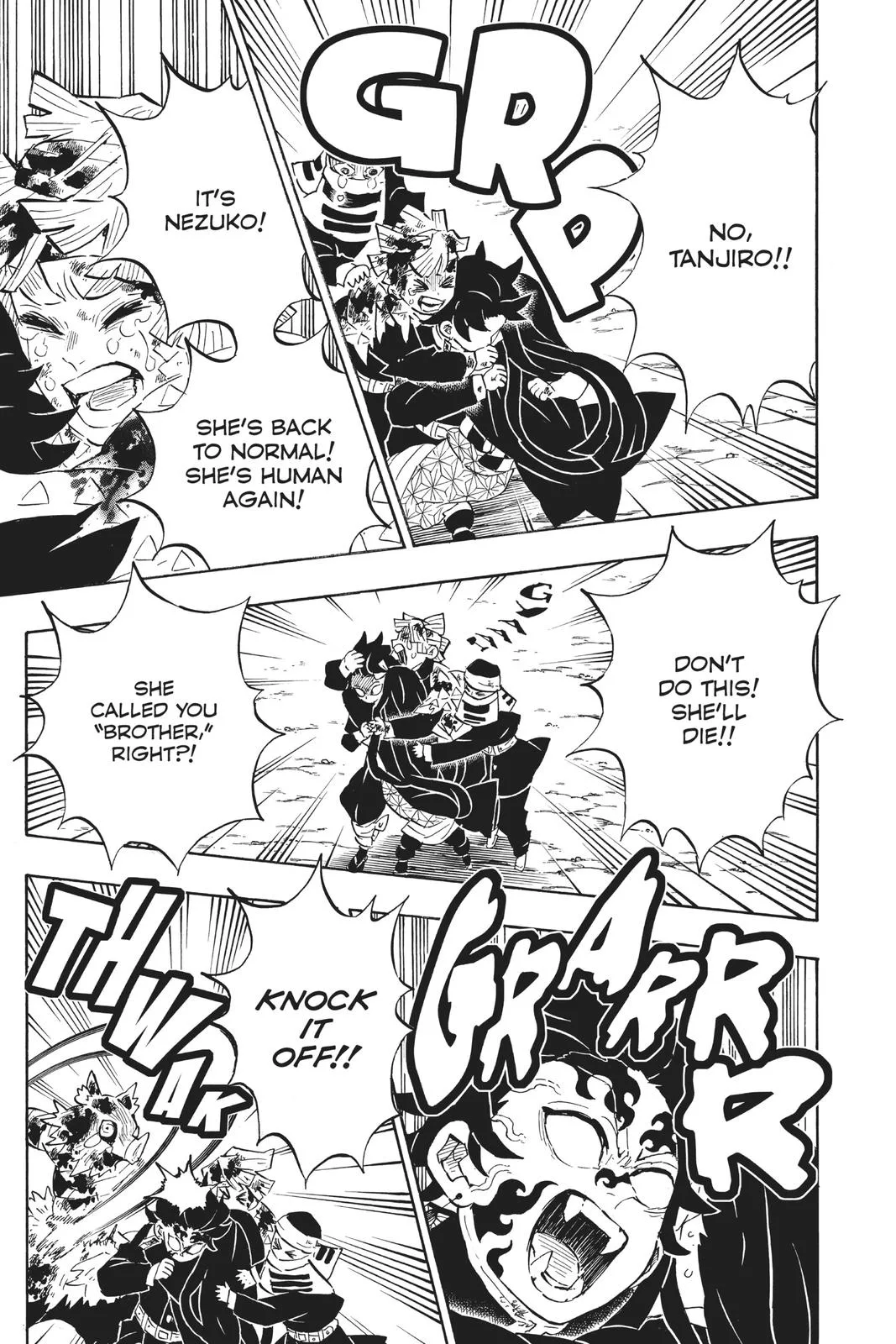 Demon Slayer: Kimetsu no Yaiba - Chapter 202 - Page 5