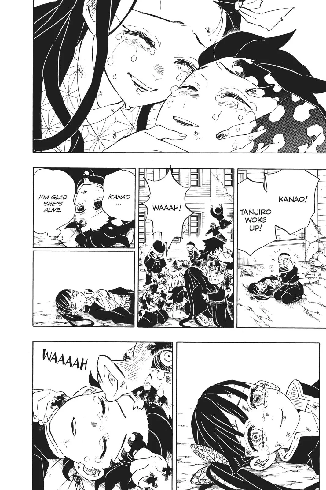 Demon Slayer: Kimetsu no Yaiba - Chapter 203 - Page 18