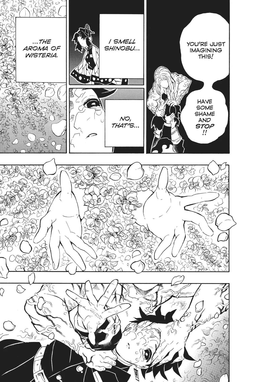 Demon Slayer: Kimetsu no Yaiba - Chapter 203 - Page 9