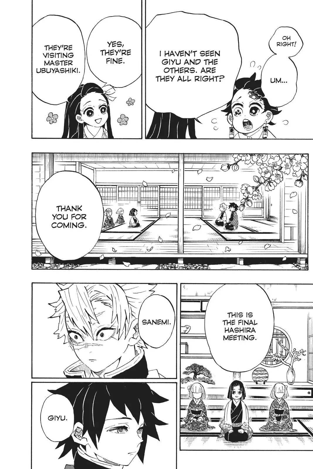Demon Slayer: Kimetsu no Yaiba - Chapter 204 - Page 9