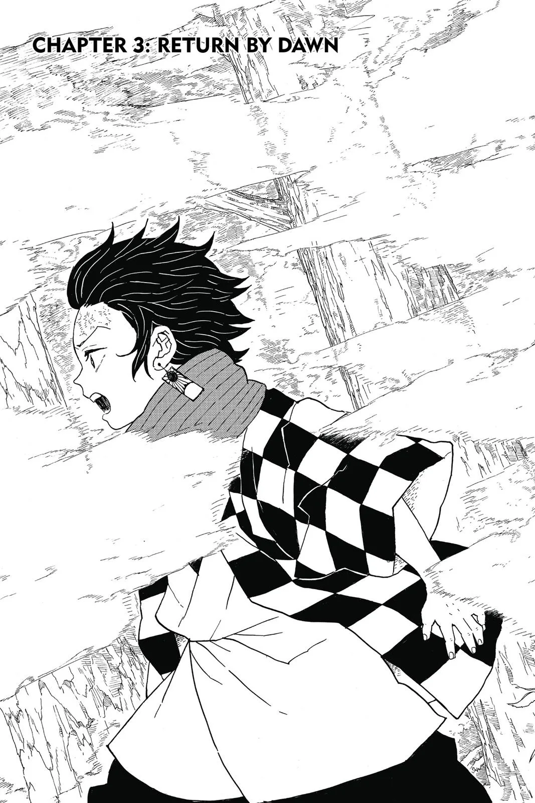 Demon Slayer: Kimetsu no Yaiba - Chapter 3 - Page 1