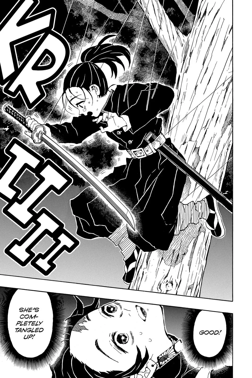 Demon Slayer: Kimetsu no Yaiba - Chapter 30 - Page 17