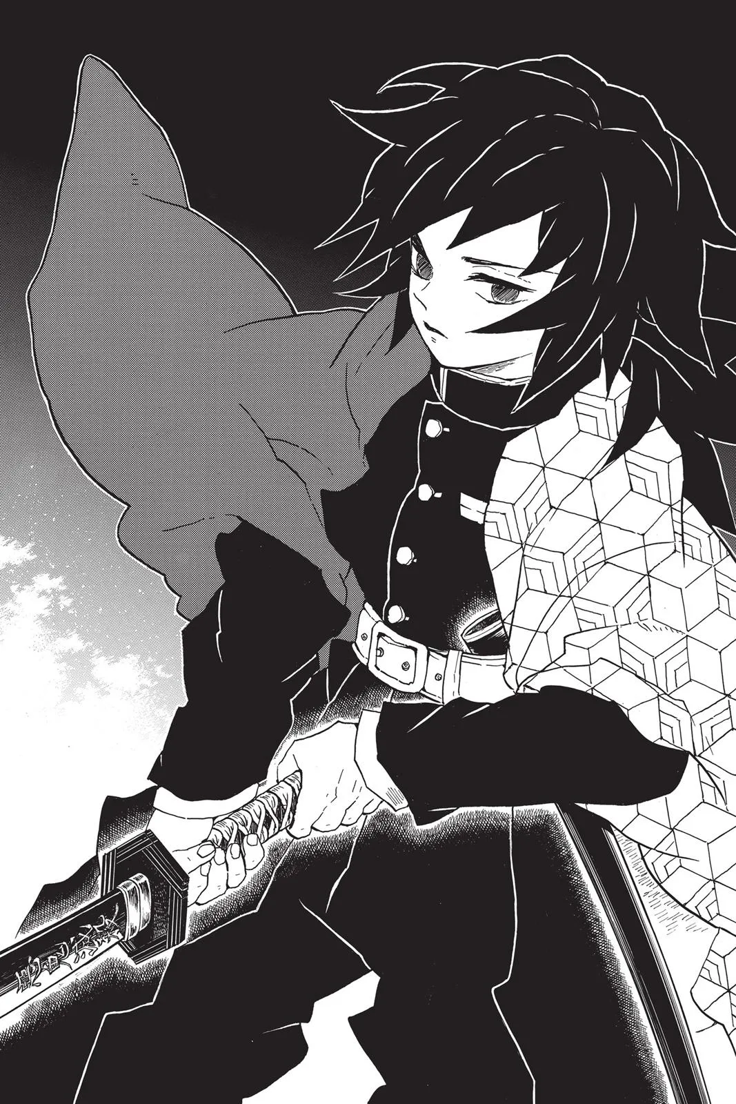 Demon Slayer: Kimetsu no Yaiba - Chapter 37 - Page 13